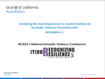 Centering the lived experience for domestic violence prevention