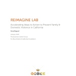 Reimagine Lab Final Report