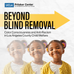 Beyond Blind Removal: Color Consciousness and Anti-Racism in Los Angeles County Child Welfare - UCLA Pritzker Center