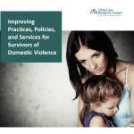 Cover reads Improving Practices, Policies, and Services for Survivors of Domestic Violence from the Child Care Resource Center