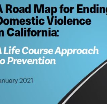 Text image: a road map for ending domestic violence in California 